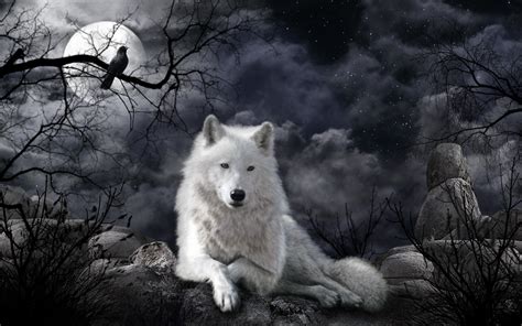 Wolf and Moon Wallpaper (67+ images)