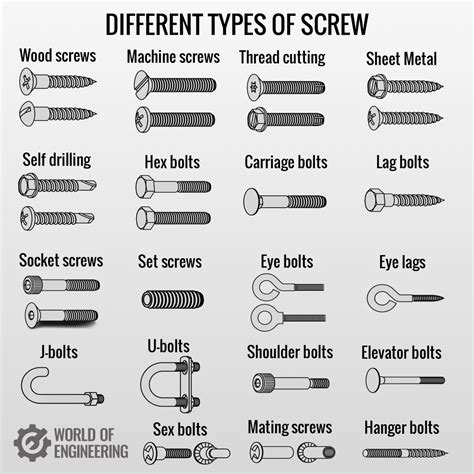 Different types of screw. 🧵 1. Wood screws are perhaps the most ...