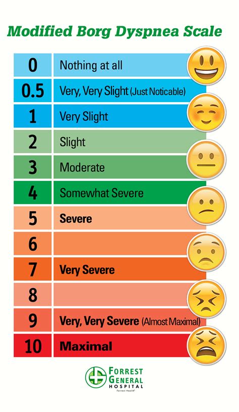 Modified Borg Scale Free Printable