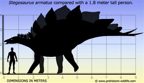 The Expeditioner's Discovery Guild: A little bit of Everything: Paleo ...