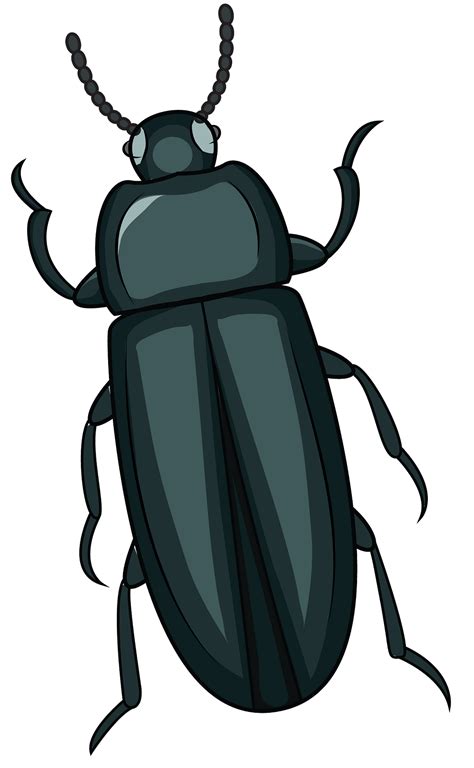 Beetle Clip Art Clipart Best Clipart Best | The Best Porn Website