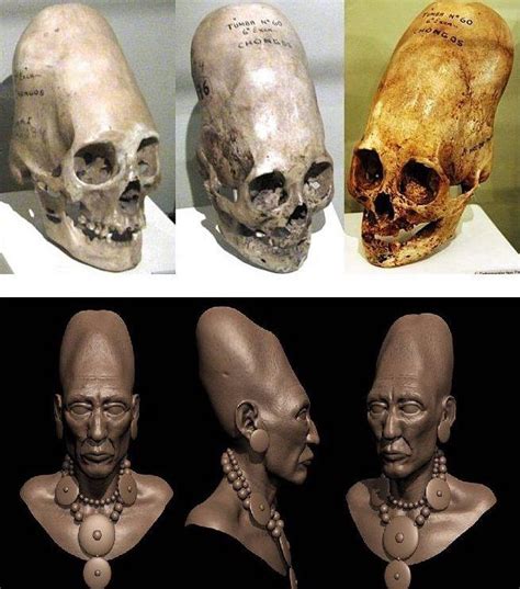 Elongated Skulls Reconstruction