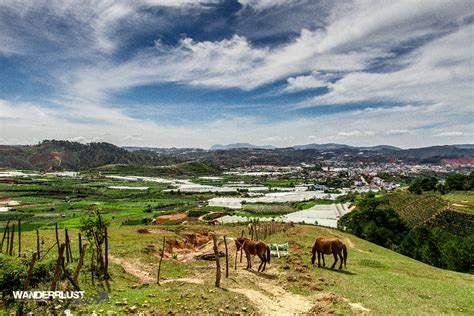 Lam Dong Province, Vietnam Travel Guide | Tourism Info for Visiting