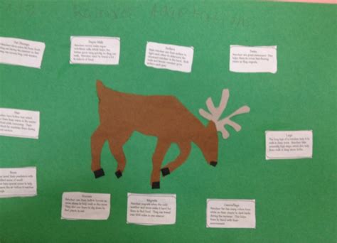 I heart Science kids: Reindeer adaptations!