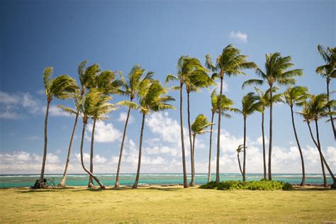 Come See The 3 Best Kapaa Beaches on Kauai Island | Kauai Condo Rentals