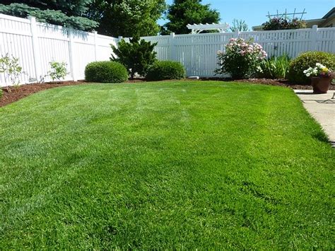 What Height Should I Cut My Grass for a Healthy Lawn? | Lawn Chick