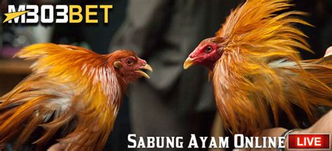 Jadwal Live Sabung Ayam Online 01 Mei 2019 S128 & SV388