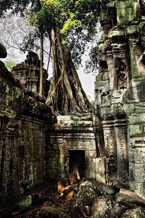 Angkor Wat, Cambodia abandoned ancient temple reclaimed by the forest ...