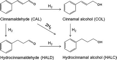 Reaction pathways for cinnamaldehyde hydrogenation | Download ...