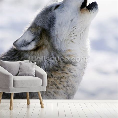 Gray Wolf Howling in Winter Wall Mural | Wallsauce US