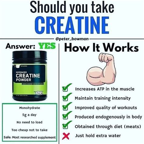 Creatine Supplement – Monohydrate Side Effects & Benefits - GymGuider ...