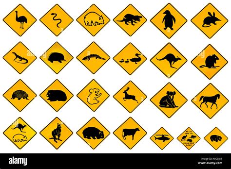 Australian warning signs for wildlife animals: Emu, Echidna, Tasmanian ...