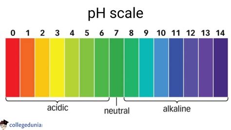 Ph Scale Diagram