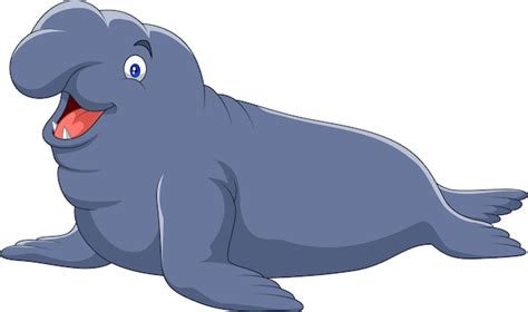 Elefante marino de dibujos animados aislado sobre fondo blanco | Vector ...