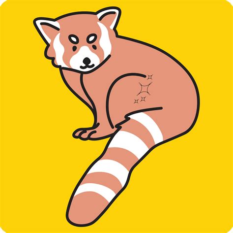 Cartoon happy raccoon isolated on yellow background 22006062 Vector Art ...