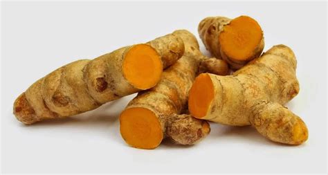 Temu Lawak Curcuma zanthorrhiza, known as temulawak, Java ginger ...