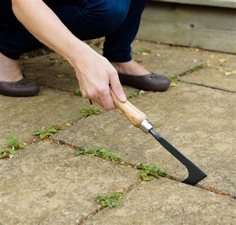 Carbon Steel Hand Weeding Knife - The Nunhead Gardener