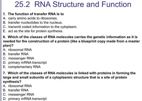 Solved 25.2 RNA Structure and Function 5. The function of | Chegg.com