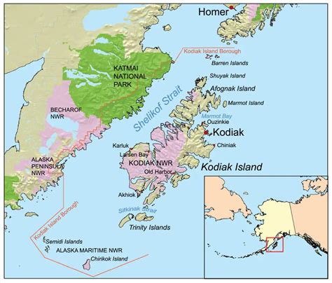 The largest Kodiak Bear ever recorded [and 16 Amazing Kodiak Bear Facts ...