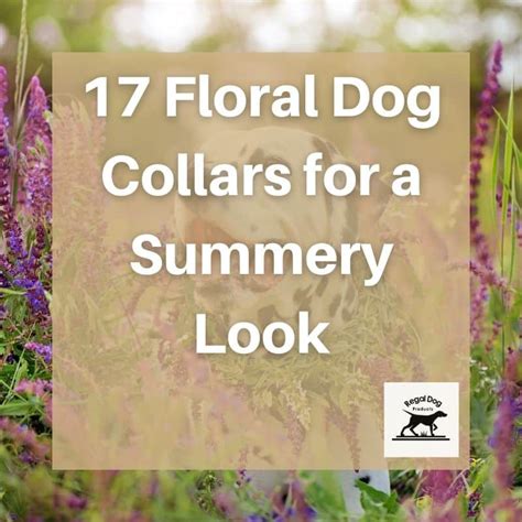 17 Floral Dog Collars for a Summery Look - Regal Dog Products