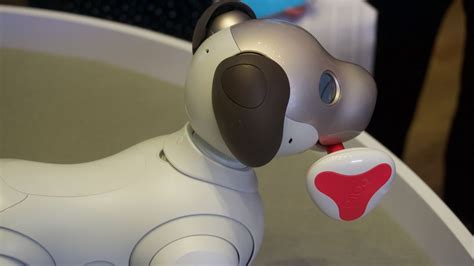 Hands on: Sony Aibo review | TechRadar