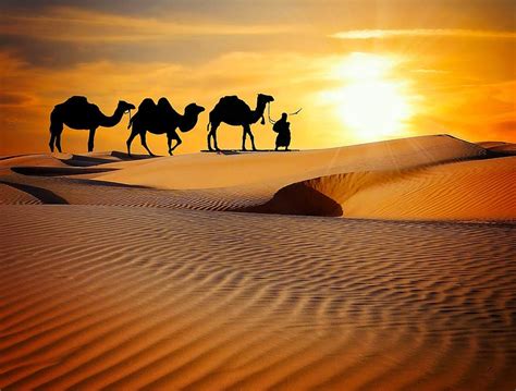 Desert Safari in Jaisalmer, Rajasthan - Explore the Incredible Sand Dunes