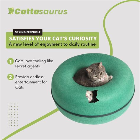 Cattasaurus Peekaboo Cat Cave for Multiple & Large Cats Up to 30 Lbs ...