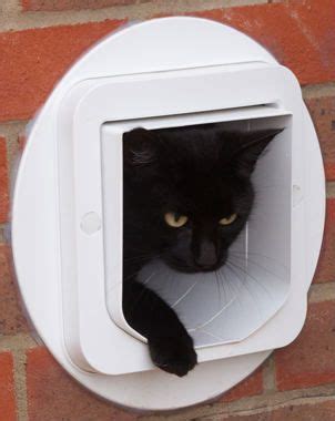 Cat Flap Installation in a Brick Wall | Cat door, Cat flap, Inside cat