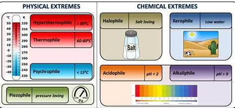 Physics of Life in Extreme Environments : Molecular & Nanoscale Physics ...