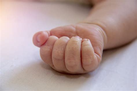 Clenched baby fist stock photo. Image of kiddie, hand - 13631324