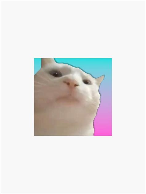 "Vibing Cat Meme " Sticker by Bighomie | Redbubble