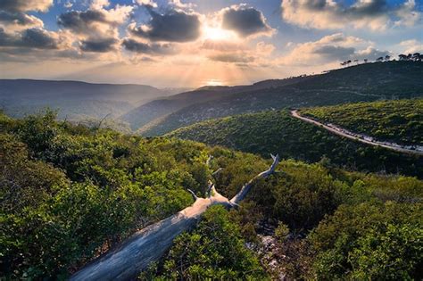 Landscape Photography Wall Decor Nature Israel Fine Art