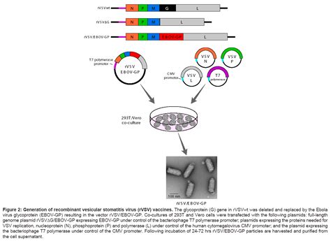 bioterrorism-biodefense-recombinant