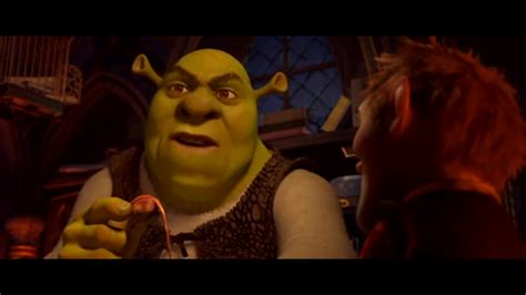 Shrek Forever After {DVD} - Shrek Forever After Photo (36632122) - Fanpop