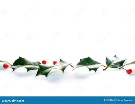 Holly Line Royalty Free Stock Photography - Image: 1527767