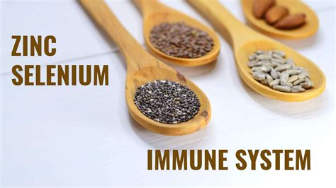 Do Zinc and Selenium Enhance Immunity? - HealtHappiness Nutrition