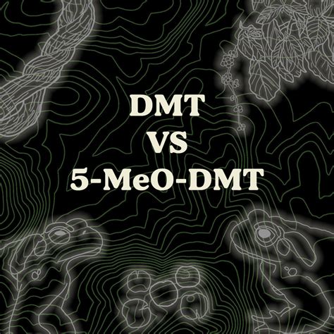 DMT vs 5-MeO-DMT - Psychedelics As a Second Language