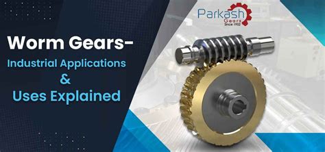 Worm Gears- Industrial Applications & Uses Explained - Parkash Gears