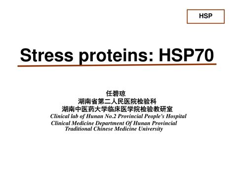 PPT - Stress proteins: HSP70 PowerPoint Presentation, free download ...