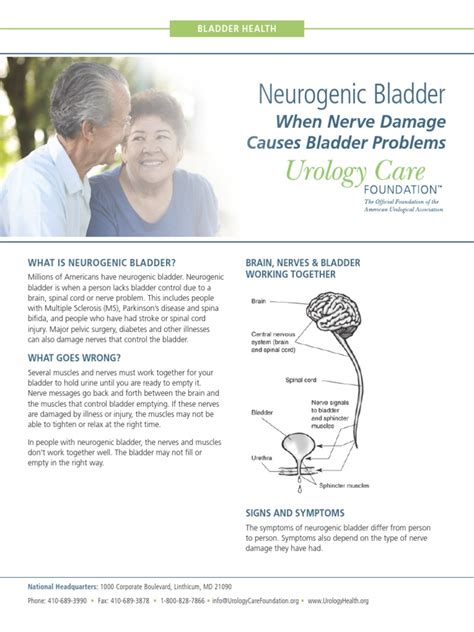 Neurogenic Bladder: When Nerve Damage Causes Bladder Problems | PDF ...