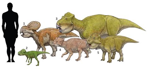 Prehistoric taxonomy | Prehistoric, Prehistoric animals, Prehistoric art