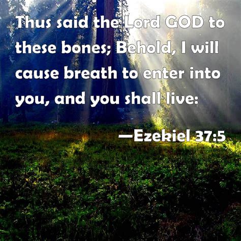 Ezekiel 37:5 Thus said the Lord GOD to these bones; Behold, I will ...