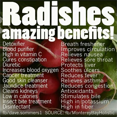 Pin by Sveta Lelyukh on Educational health info | Radishes benefits ...