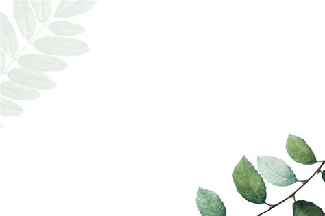 Tropical botanic leaves background illustration | premium image by ...