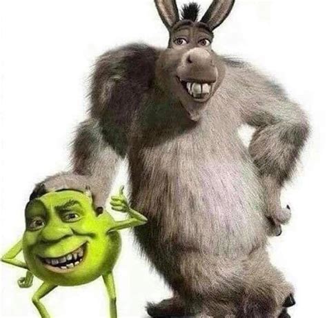 Shrek and Donkey + Mike Wazowski and James P. Sullivan = | Fandom