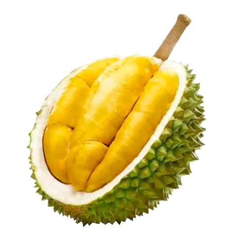 Durian bawor