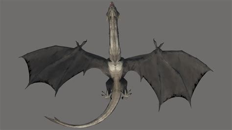 Wyvern Rigged 3D Model - TurboSquid 2088929