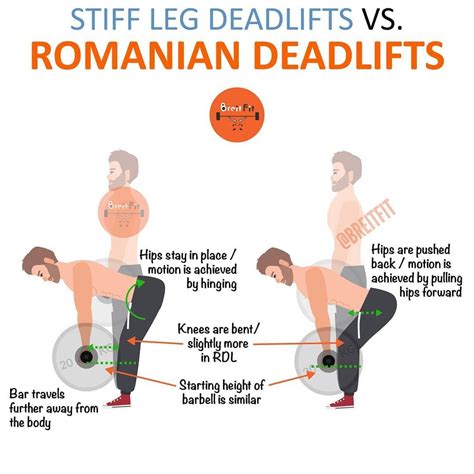 EVER WONDERED WHAT DIFFERS THE STIFF LEG FROM THE ROMANIAN DEADLIFT ...