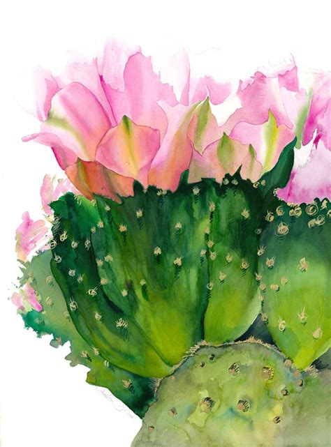 236 best Watercolor Cactus images on Pinterest | Watercolor paintings ...