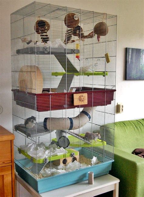 Pin by Vianni on ideias | Rat cage, Rat cage accessories, Pet rat cages